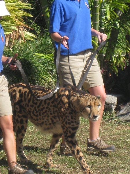 Florida Mexico 2008 0272