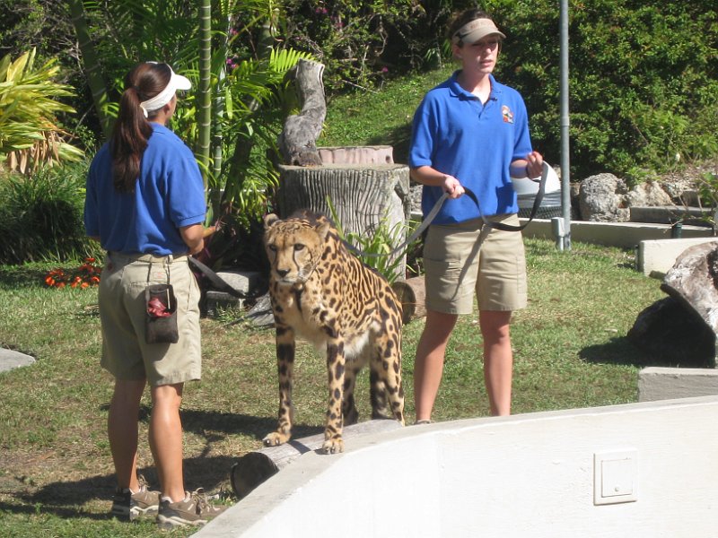 Florida Mexico 2008 0273