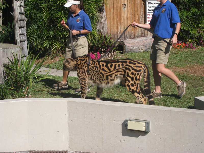 Florida Mexico 2008 0274