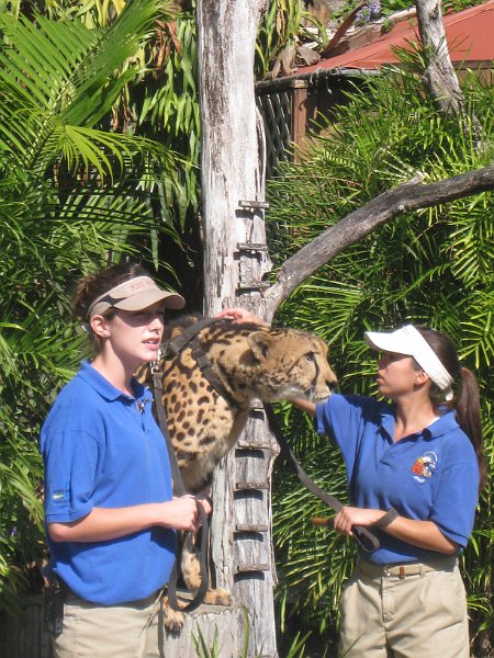 Florida Mexico 2008 0275