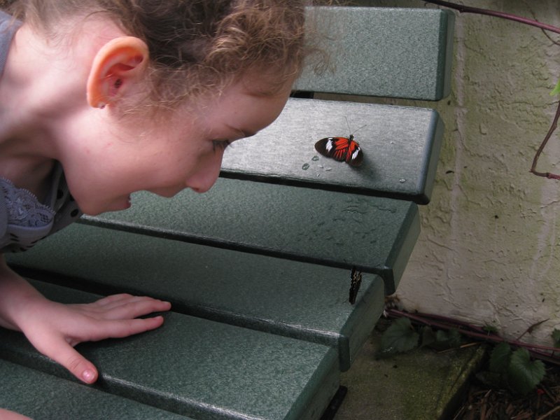 Florida Mexico 2008 0307