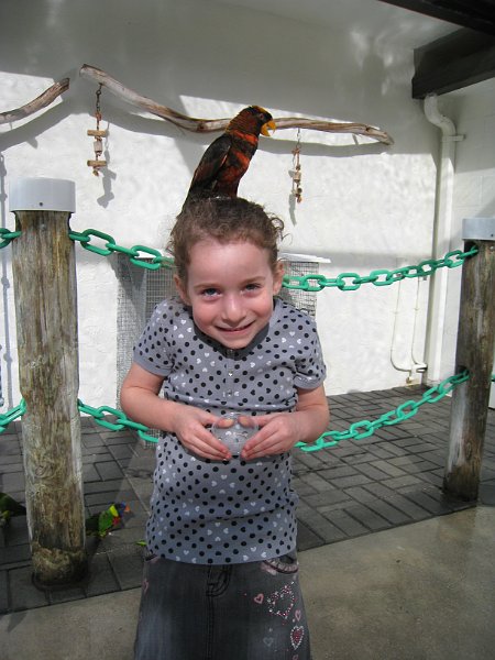 Florida Mexico 2008 0314