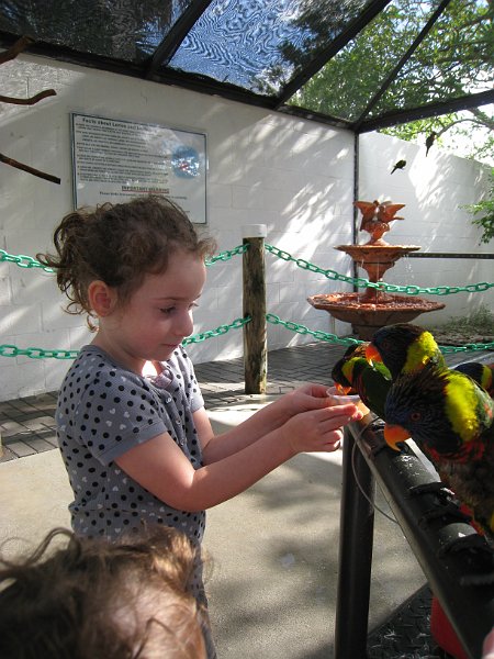 Florida Mexico 2008 0315