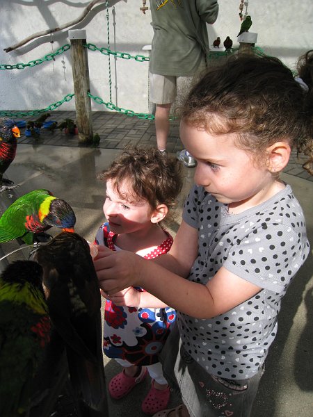 Florida Mexico 2008 0316