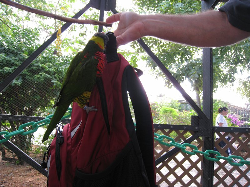 Florida Mexico 2008 0319