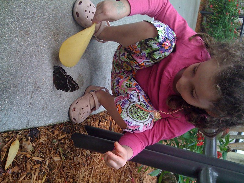 Florida Mexico 2008 iphone 0008