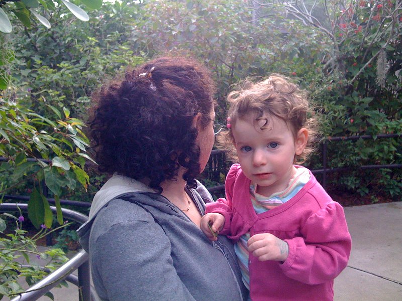 Florida Mexico 2008 iphone 0009