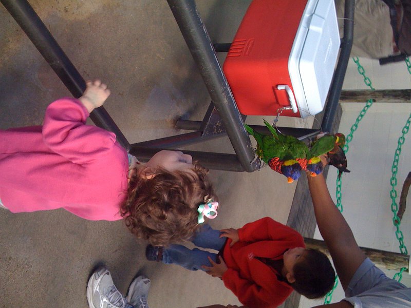 Florida Mexico 2008 iphone 0010