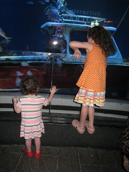 Florida Mexico 2008 0063