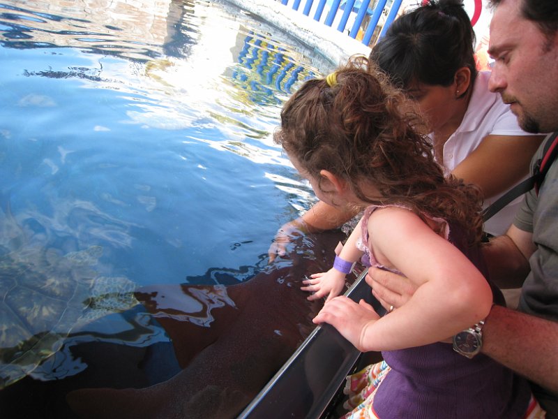 Florida Mexico 2008 0101