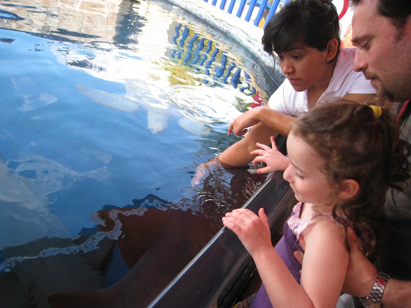 Florida Mexico 2008 0102