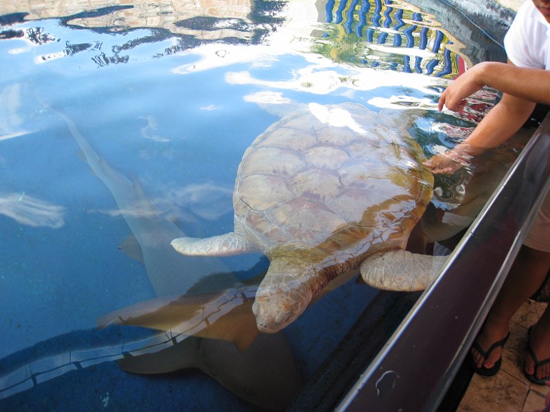 Florida Mexico 2008 0103