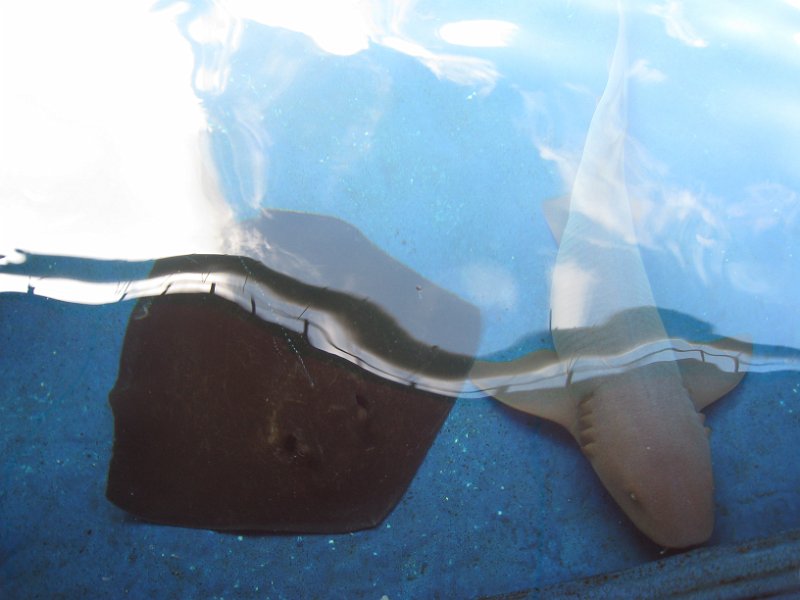 Florida Mexico 2008 0105