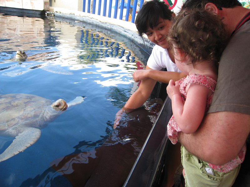 Florida Mexico 2008 0106