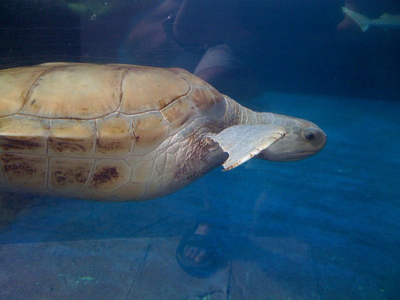 Florida Mexico 2008 iphone 0005