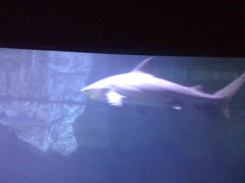 Florida Mexico 2008 iphone 0006