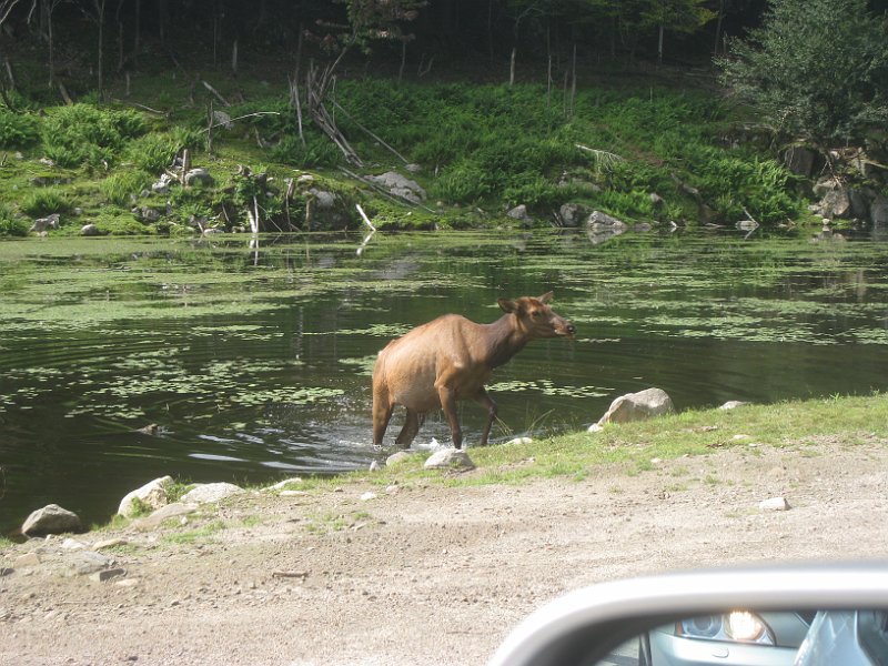 Tremblant August 2009 0007