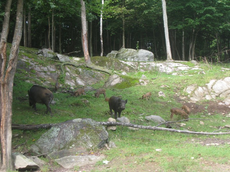 Tremblant August 2009 0008