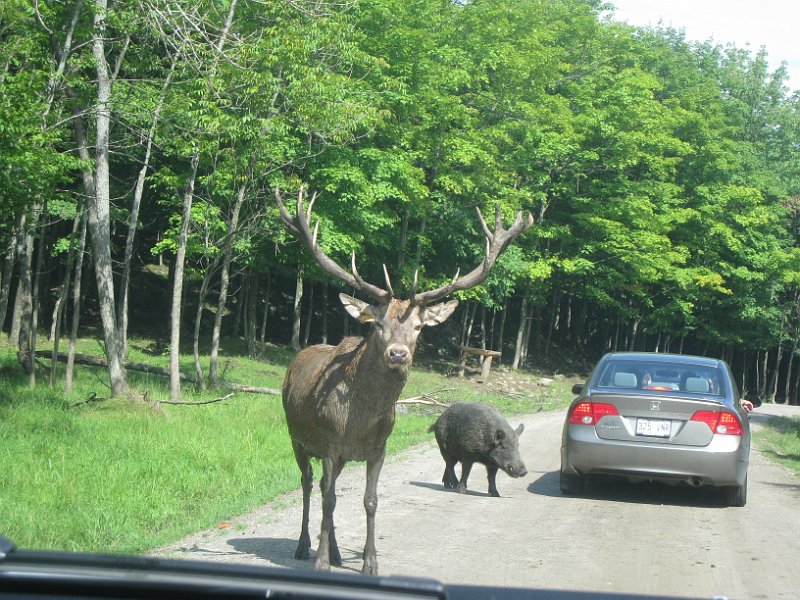 Tremblant August 2009 0012