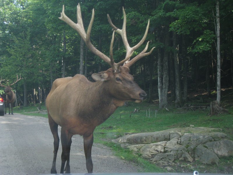 Tremblant August 2009 0019