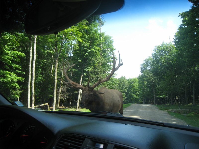 Tremblant August 2009 0022