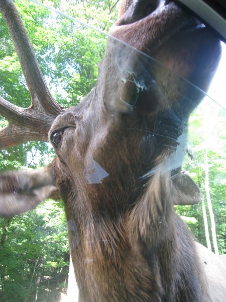 Tremblant August 2009 0025