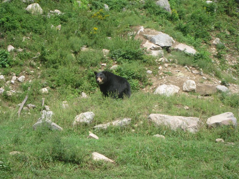 Tremblant August 2009 0048