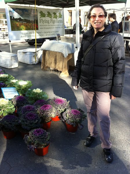 New York November 2010 0031