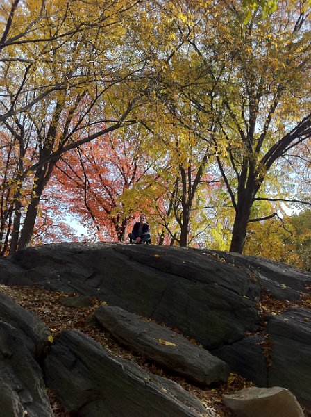 New York November 2010 0056