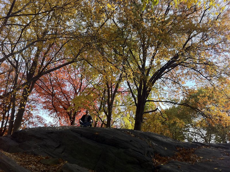 New York November 2010 0057