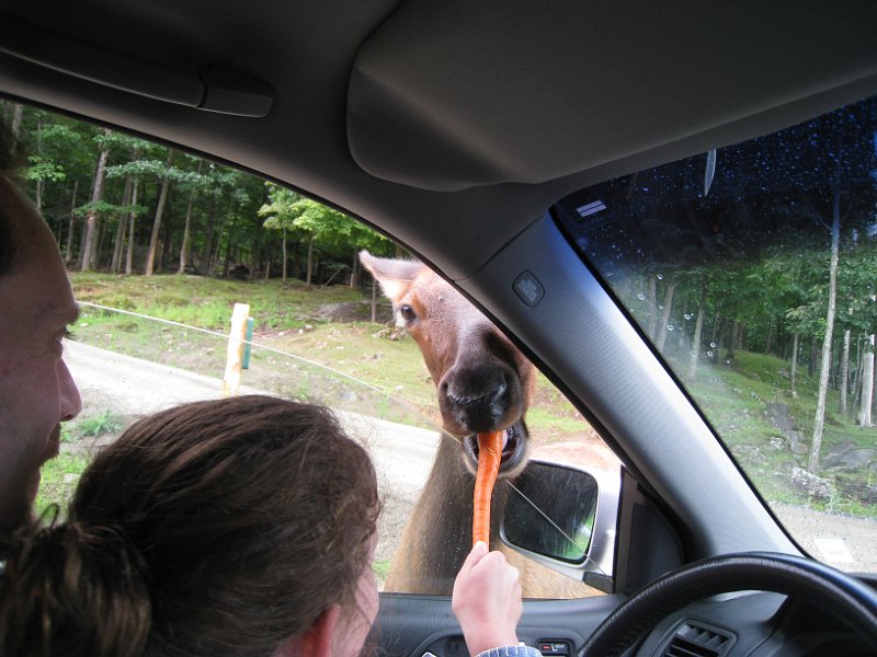 Tremblant August 2010 0002