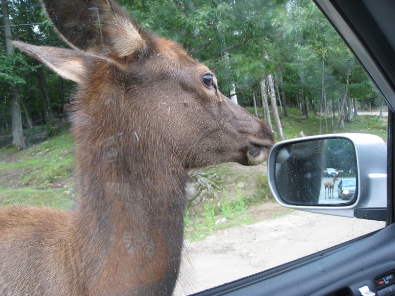 Tremblant August 2010 0003