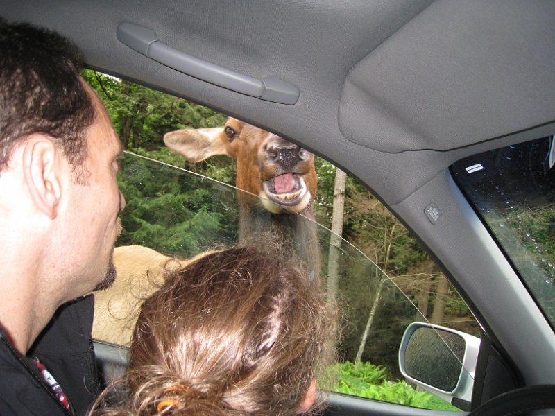 Tremblant August 2010 0010