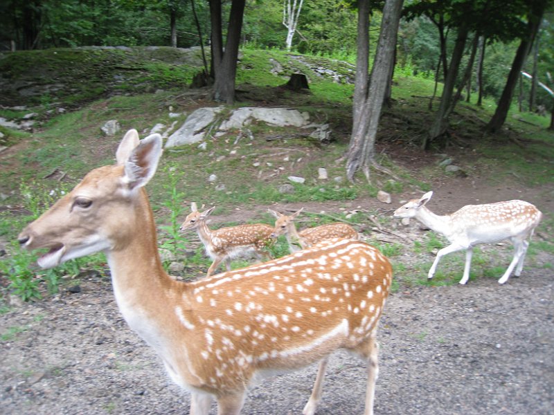 Tremblant August 2010 0012