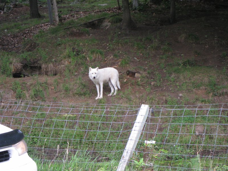 Tremblant August 2010 0014