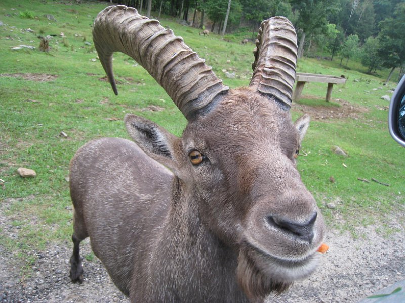 Tremblant August 2010 0015