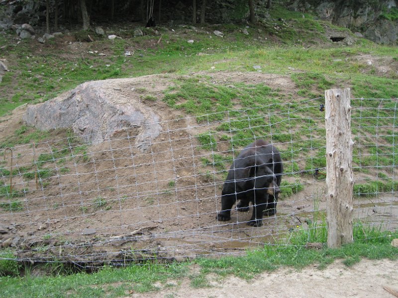 Tremblant August 2010 0016