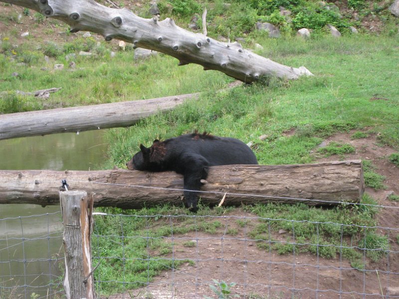 Tremblant August 2010 0017