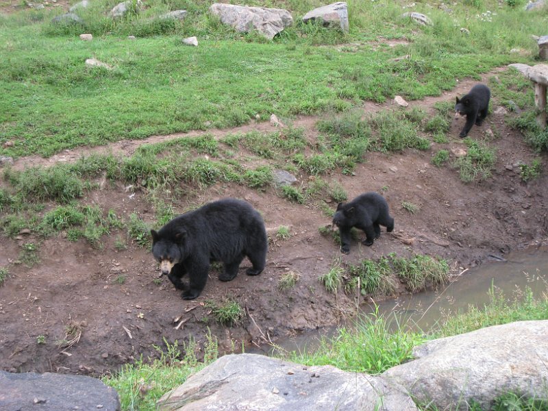 Tremblant August 2010 0018