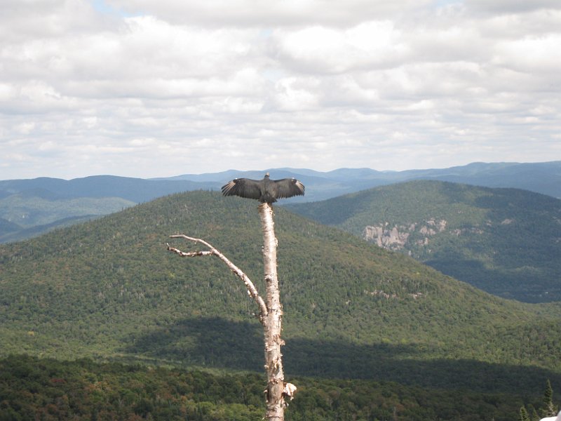 Tremblant August 2010 0092