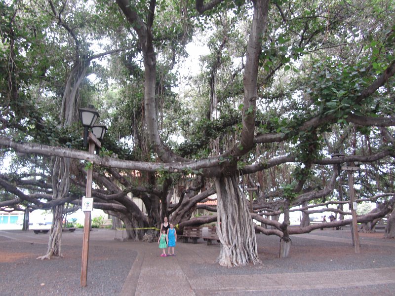 Hawaii Dec2012 0105