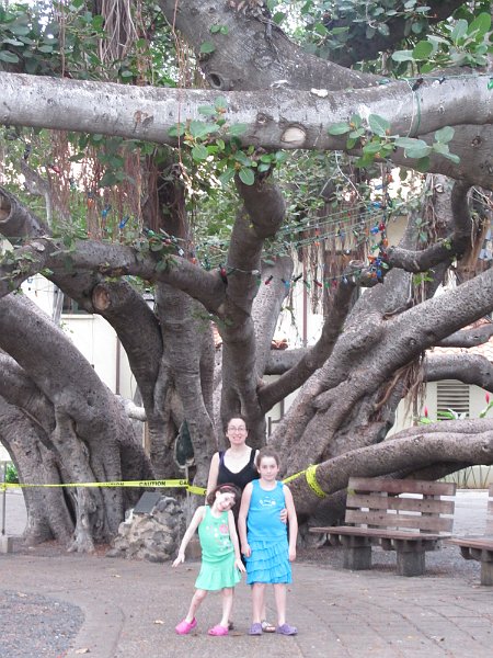 Hawaii Dec2012 0106