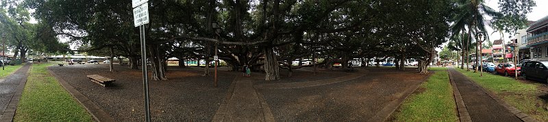 Hawaii Dec2012 0107