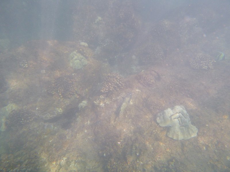 Hawaii Dec2012 0289