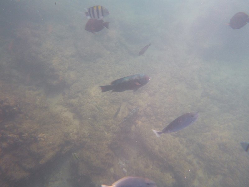 Hawaii Dec2012 0291