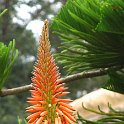 Hawaii Dec2012 0074