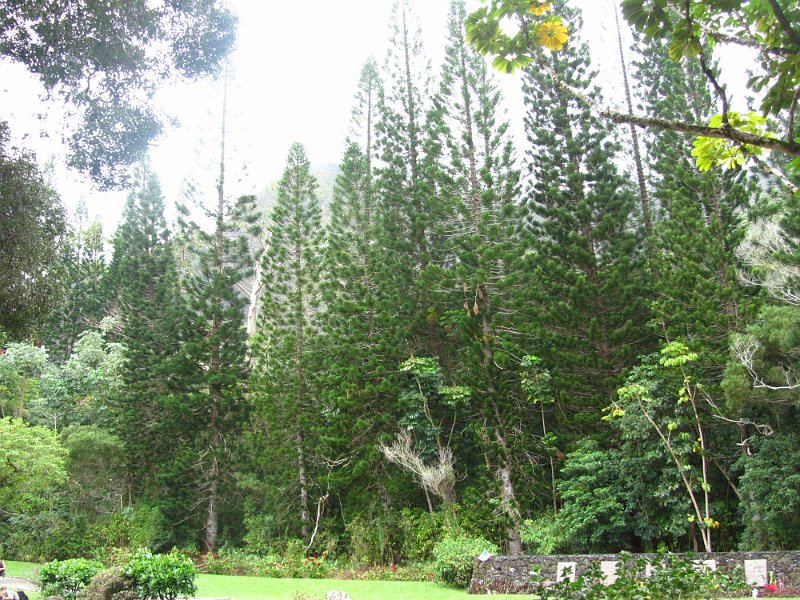 Hawaii Dec2012 0342
