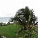 Hawaii Dec2012 0359