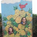 Hawaii Dec2012 0464