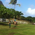 Hawaii Dec2012 0574